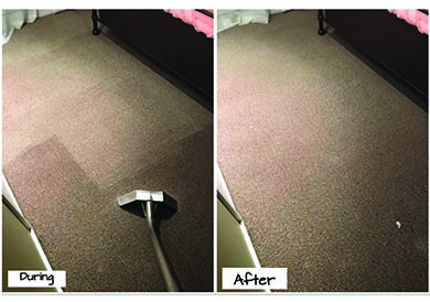 Carpet Steam Cleaning - Storm Carpet Cleaning Bendigo